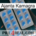 Ajanta Kamagra 23